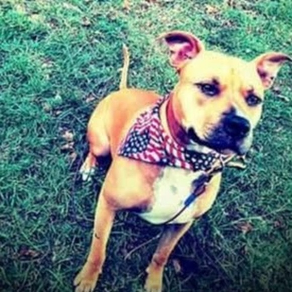 Meet your Posher, Hailee - Picture 1 of 1